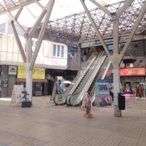 Oportunidad de Inversión Local Comercial, Paseo Las Palmas